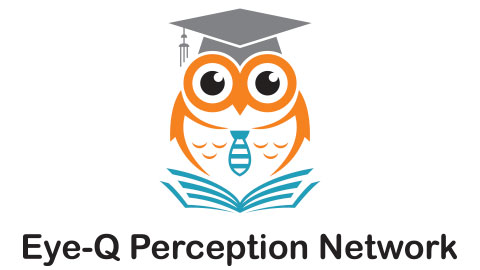 Eye-Q Perception Network Licensing